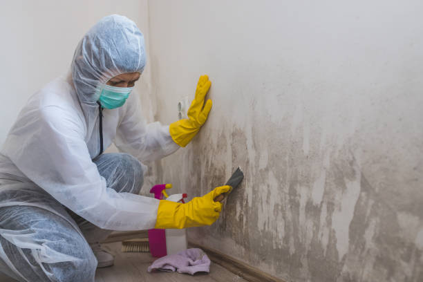 Mold Remediation for Vacation Homes in Lake Hiawatha, NJ