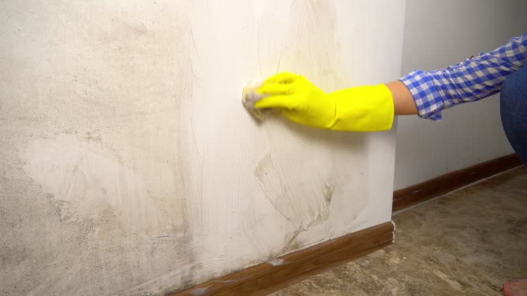 Best Mold Odor Removal Services  in Lake Hiawatha, NJ