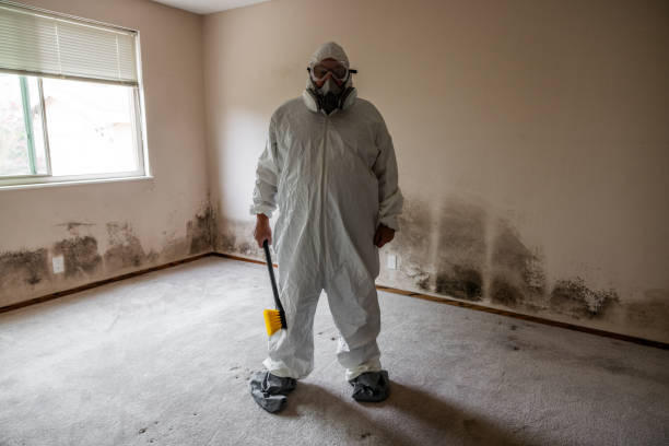 Best Biohazard Mold Removal  in Lake Hiawatha, NJ